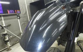 YAMAHA WR250X 2007 DG15J