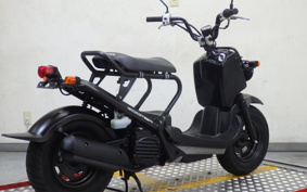 HONDA ZUMAR AF58