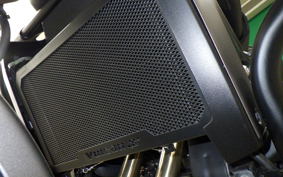 KAWASAKI VULCAN 650 SA 2024 EN650M