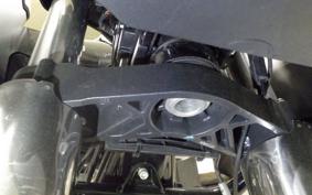 HARLEY FLTRX1920 2024