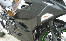 KAWASAKI NINJA 400 ABS 2019 EX400G