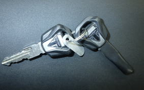 TRIUMPH TIGER 800 XR T 2019