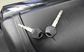 YAMAHA YZF-R3 2021 RH13J