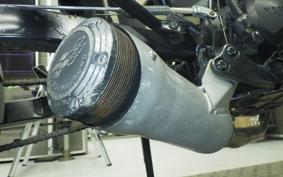 YAMAHA TW225 2023 DG09J