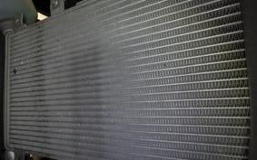 KAWASAKI NINJA 250 2024 EX250P