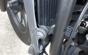 HONDA REBEL 250 A MC49