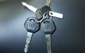 YAMAHA YZF-R3 2016 RH07J