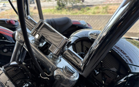 HARLEY FXST1340-1450 2020 BVJ