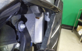 KAWASAKI NINJA 250 EX250L