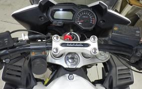 YAMAHA FZ1 FAZER 2010 RN21J