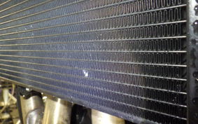 TRIUMPH TRIDENT 660 2025