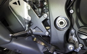 KAWASAKI ZX 10 NINJA RR 2017
