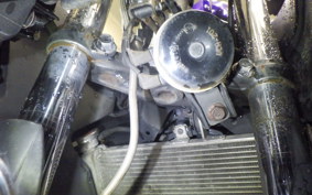 YAMAHA YZF-R25 2014 RG10J