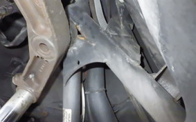 MALAGUTI PHANTOM MAX250 2021