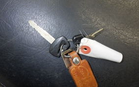 SUZUKI INTRUDER 400 Classic 2005 VK54A