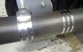 HONDA PS250