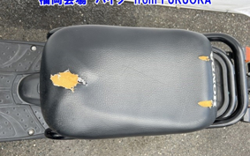 HONDA ZUMAR