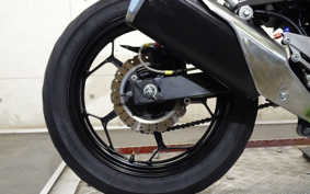 KAWASAKI NINJA 250 EX250L
