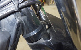 MOTO GUZZI V9 ROAMER 2017