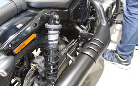 HARLEY  HARLEY RH975 NIGHT  STAR  2023 ZH1