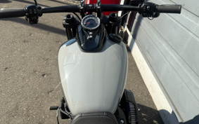 HARLEY FXFBS 2025 YLK