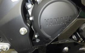 YAMAHA YZF-R15