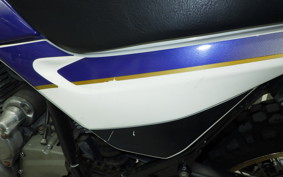 KAWASAKI SUPER SHERPA 2023 KL250G