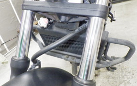 HONDA REBEL 250 2009 MC49