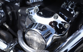 HARLEY FXDL 100th 2002 GDV