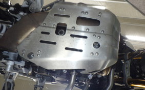 TRIUMPH TIGER 900 RALLY PRO 2022