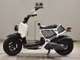 Фото Honda ZOOMER 2006 с японского аукциона