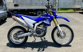 YAMAHA WR250R DG15J