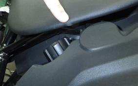 DUCATI DESSERT X 2022