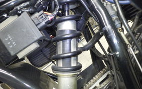 YAMAHA TW225 DG09J