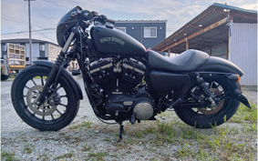 HARLEY XL883N 2015 LE2