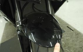 KAWASAKI NINJA 1000SX 2024 ZXT02K