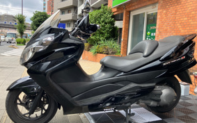 SUZUKI SKY WAVE 250 TYPES