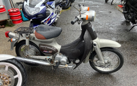 HONDA LITTLE CUB C50