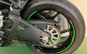 KAWASAKI NINJA ZX-6R 2019 ZX636G