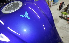 YAMAHA MT-09 2023 RN69J