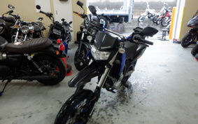 KAWASAKI KLX125D TRACKER X LX250V