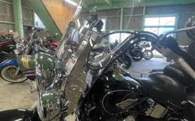 HARLEY HARLEY FLSTC 2009 BW5