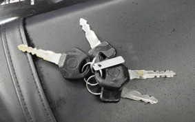 YAMAHA YZF-R25 A RG74J