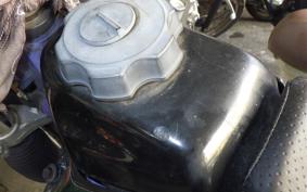 KAWASAKI KLX250 ES Type LX250E