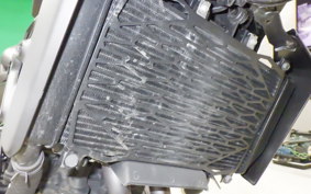 KAWASAKI ELIMINATOR400-3SE 2023 EL400A