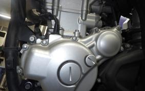 YAMAHA WR250X 2024