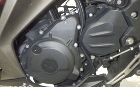 KAWASAKI NINJA 250 EX250P
