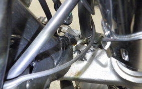 YAMAHA FZX750 2009 3XF