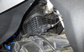 SUZUKI ｼﾞｸｻｰ150SF