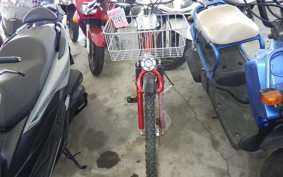 OTHER +UNREGISTERED MODEL by BDS